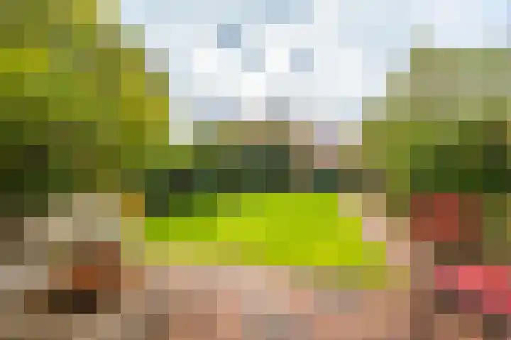 Breeuwer 31 Sappemeer thumbnail 29