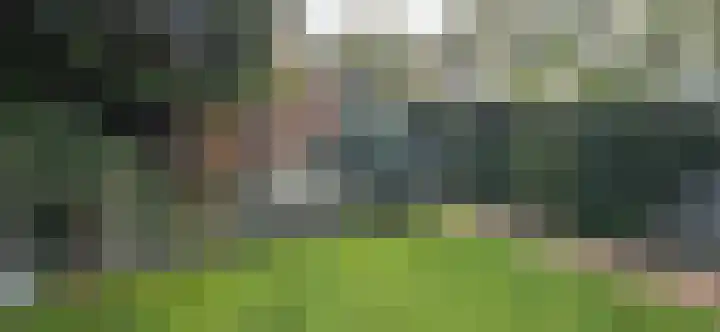 Breeuwer 31 Sappemeer thumbnail 31
