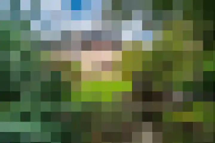 Breeuwer 31 Sappemeer thumbnail 33