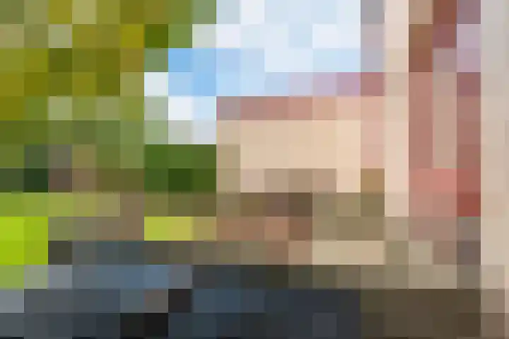 Breeuwer 31 Sappemeer thumbnail 35