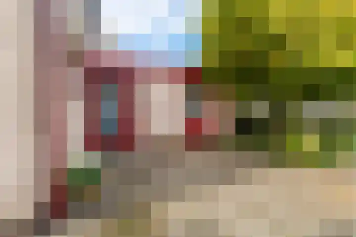 Breeuwer 31 Sappemeer thumbnail 36