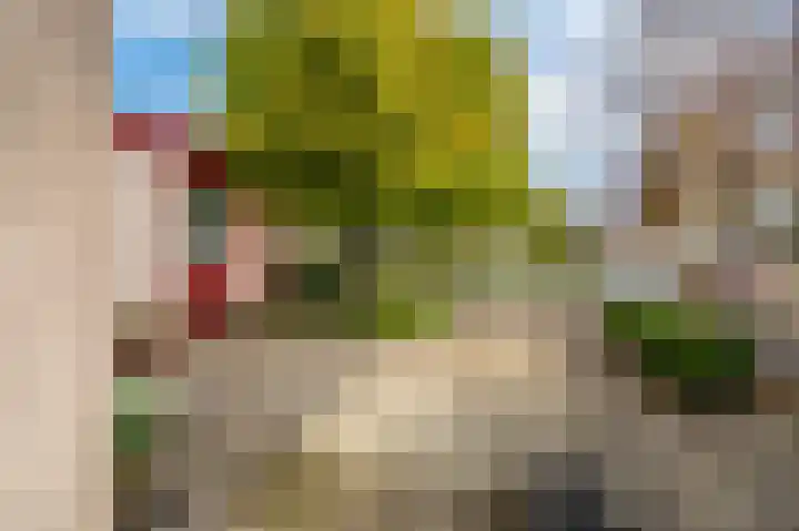 Breeuwer 31 Sappemeer thumbnail 37