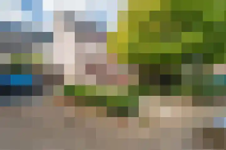 Breeuwer 31 Sappemeer thumbnail 38