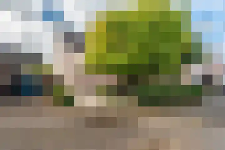 Breeuwer 31 Sappemeer thumbnail 39