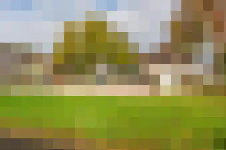 Breeuwer 31 Sappemeer thumbnail 40