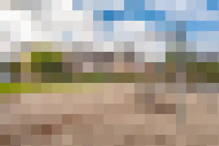 Breeuwer 31 Sappemeer thumbnail 41