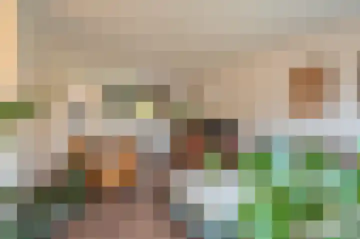 Breeuwer 31 Sappemeer thumbnail 5