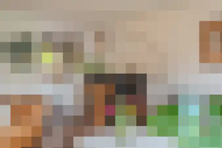 Breeuwer 31 Sappemeer thumbnail 6