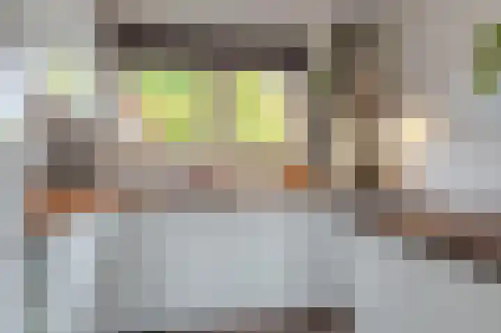 Breeuwer 31 Sappemeer thumbnail 9