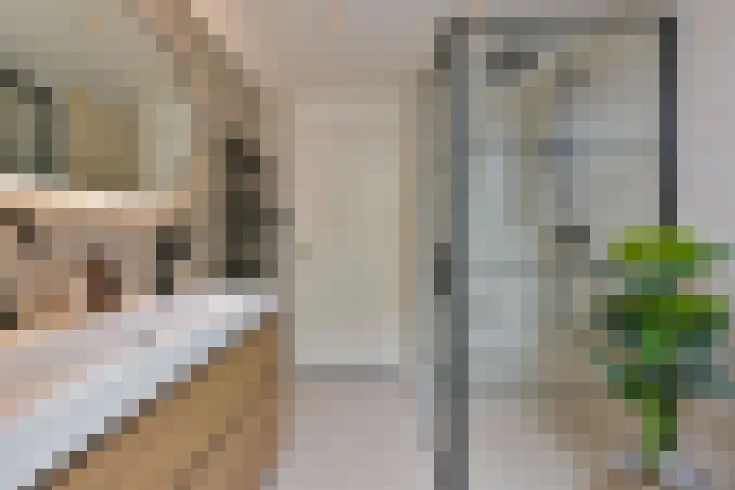 Breeuwer 39 Hoorn thumbnail 26