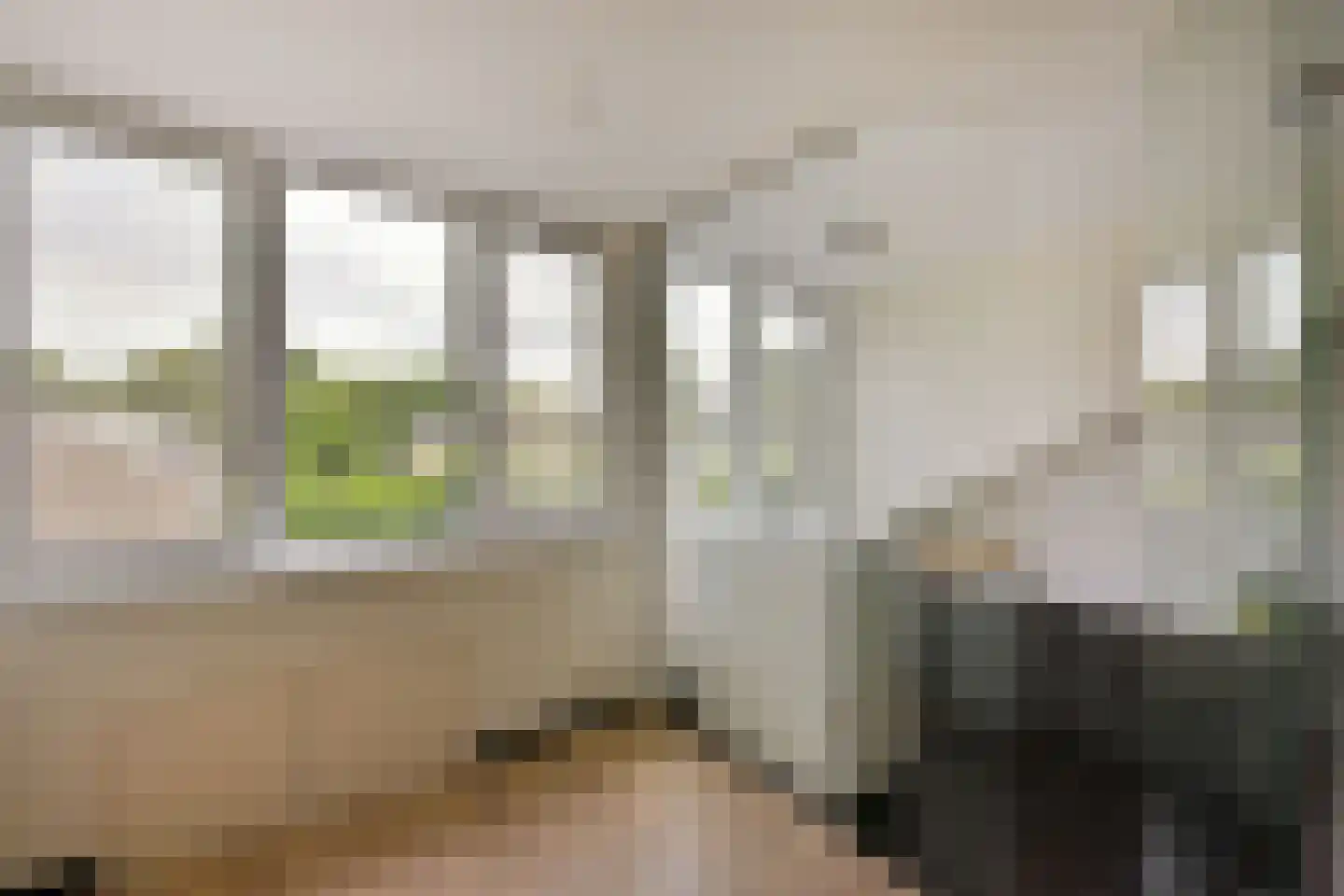 Breeuwer 39 Hoorn thumbnail 29