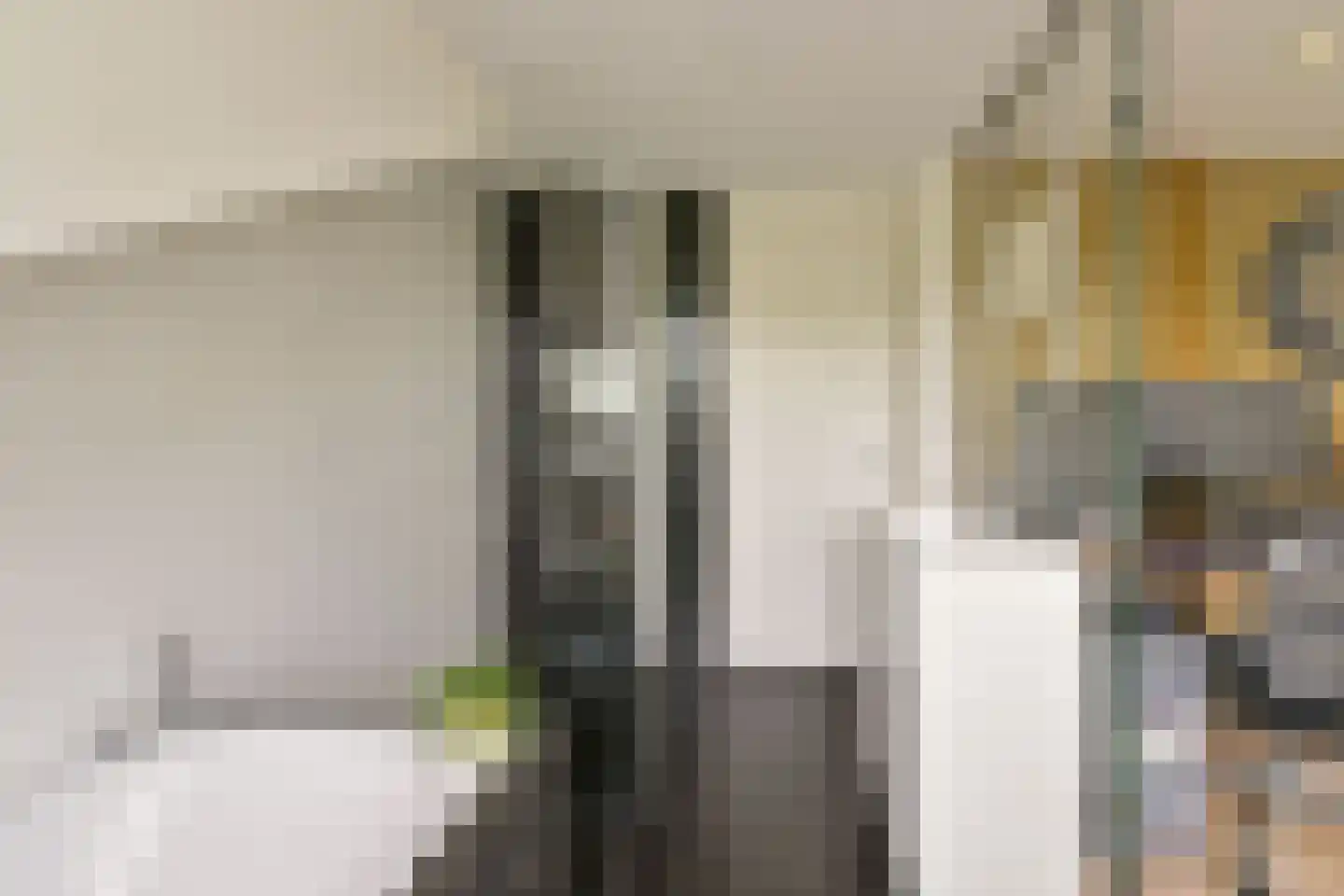 Breeuwer 39 Hoorn thumbnail 31