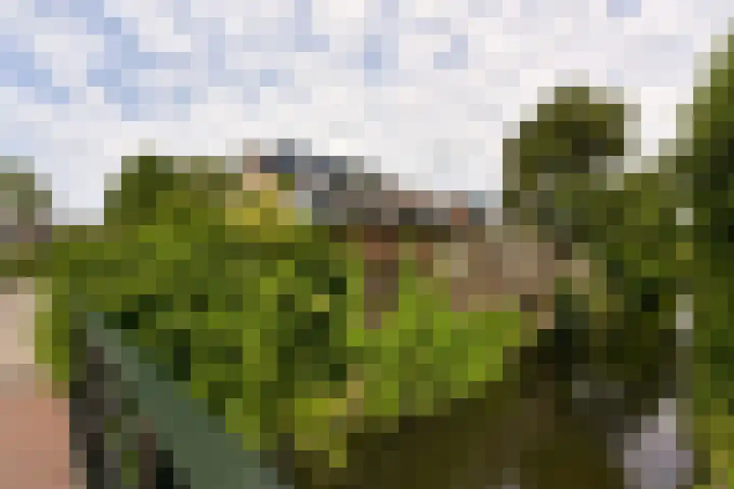 Breeuwer 39 Hoorn thumbnail 34