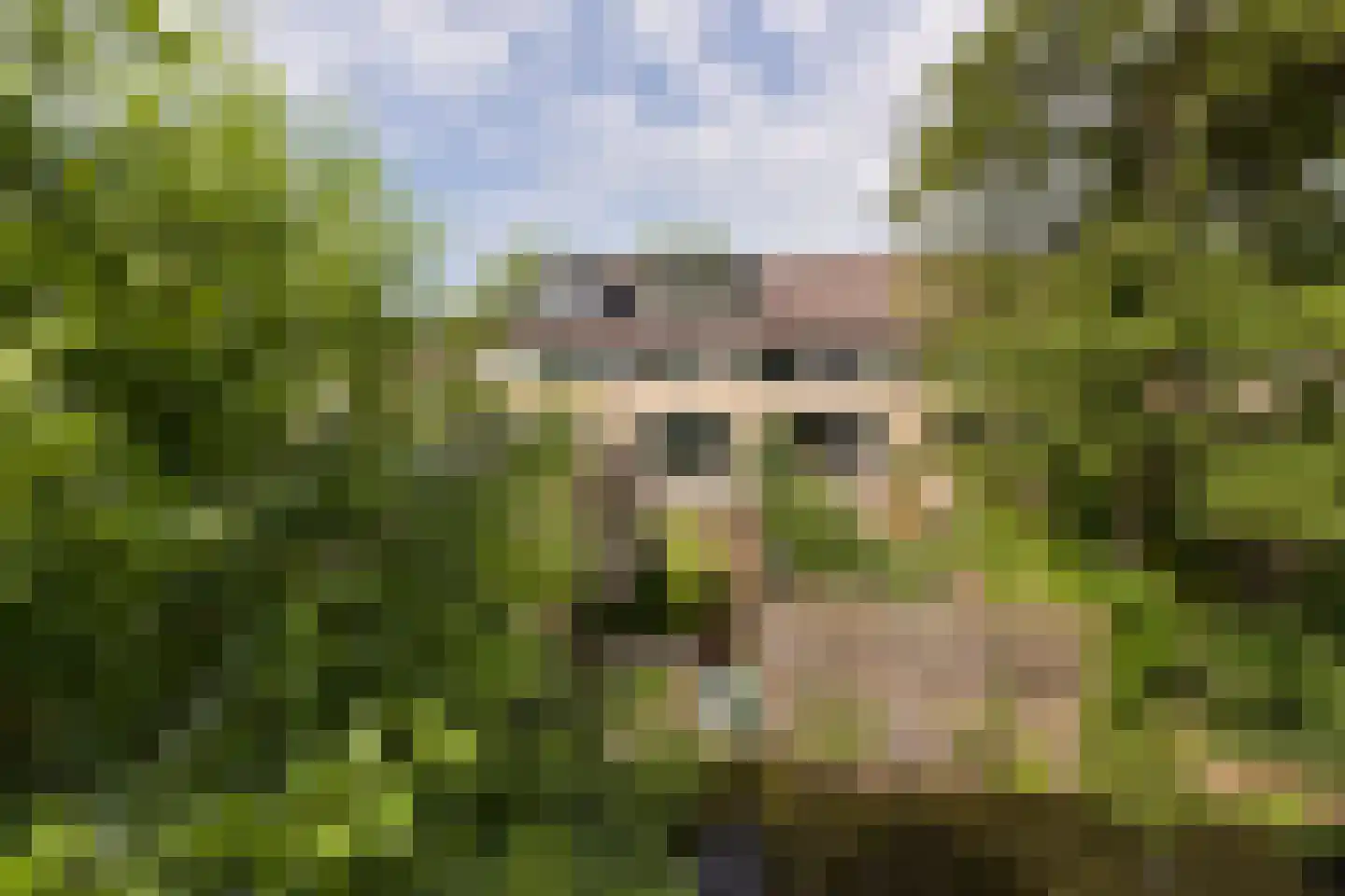 Breeuwer 39 Hoorn thumbnail 35