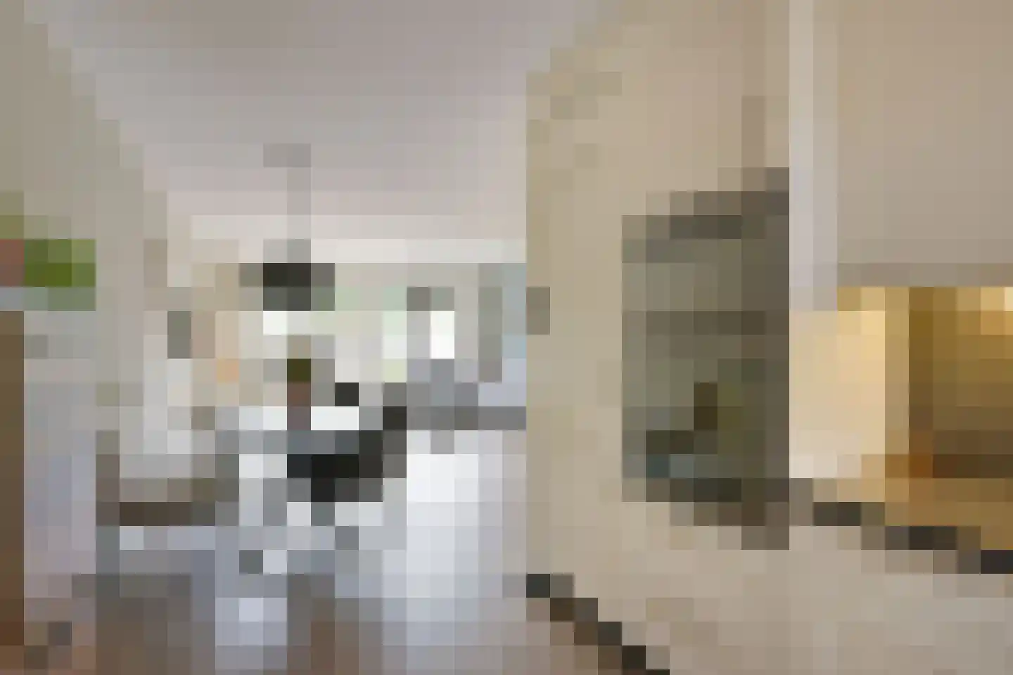Breeuwer 39 Hoorn thumbnail 9