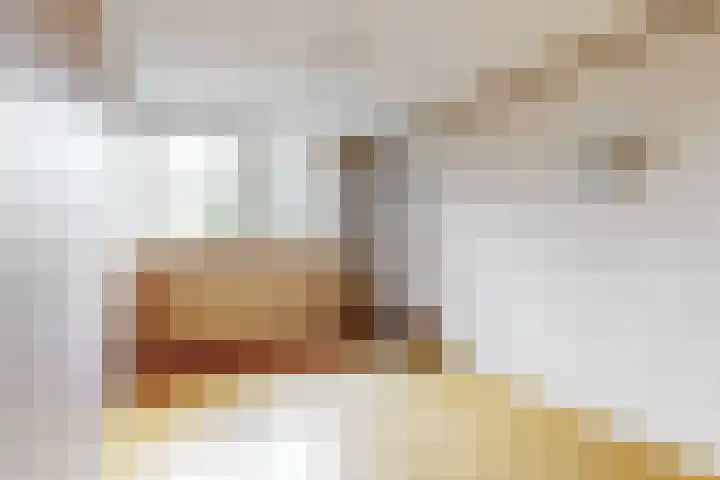 Breeuwer 61 Hoorn thumbnail 13