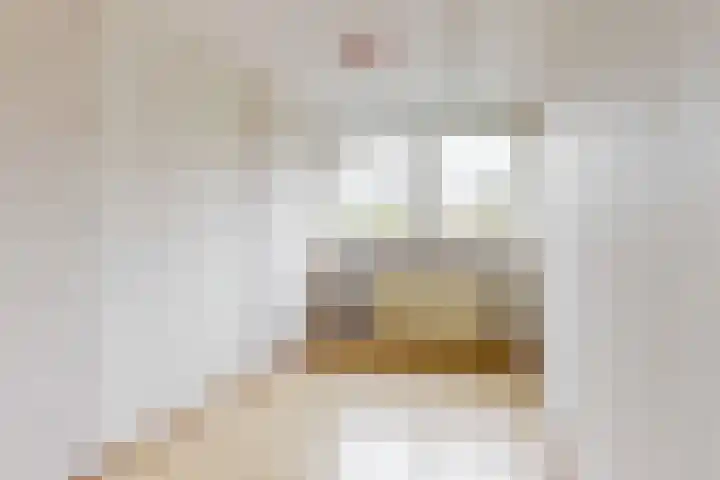 Breeuwer 61 Hoorn thumbnail 17