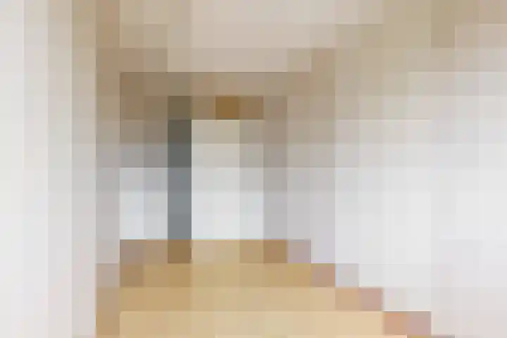 Breeuwer 61 Hoorn thumbnail 18
