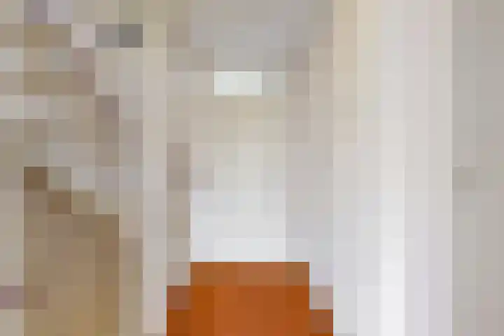 Breeuwer 61 Hoorn thumbnail 19