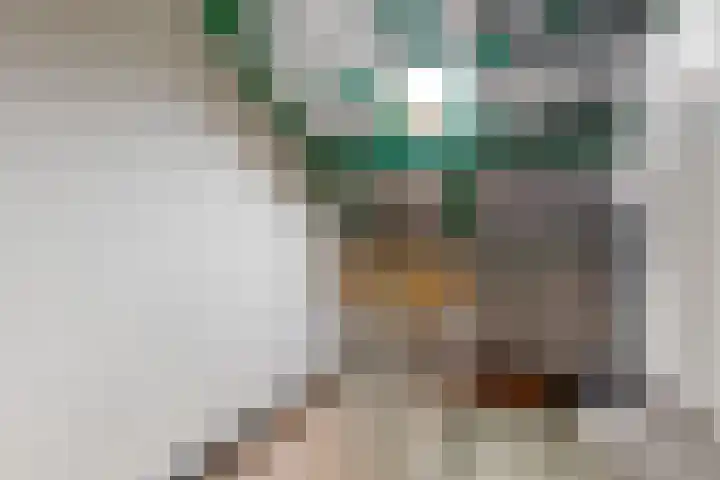 Breeuwer 61 Hoorn thumbnail 20