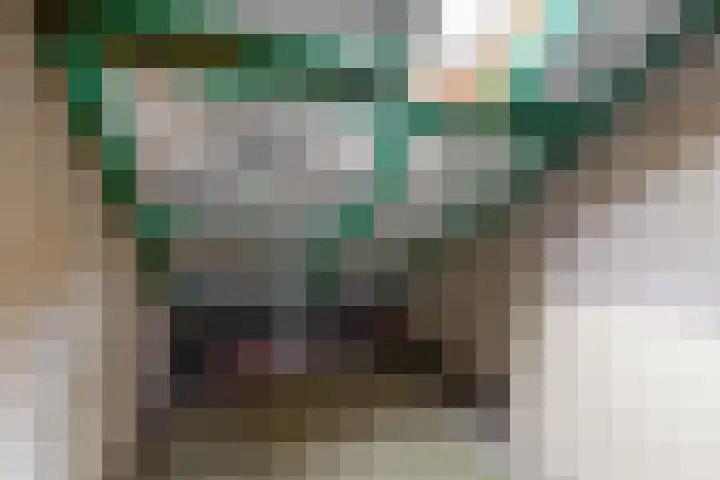 Breeuwer 61 Hoorn thumbnail 21