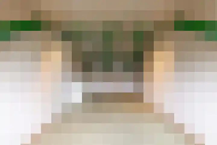 Breeuwer 61 Hoorn thumbnail 23