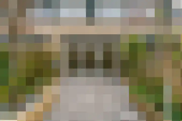 Breeuwer 61 Hoorn thumbnail 24