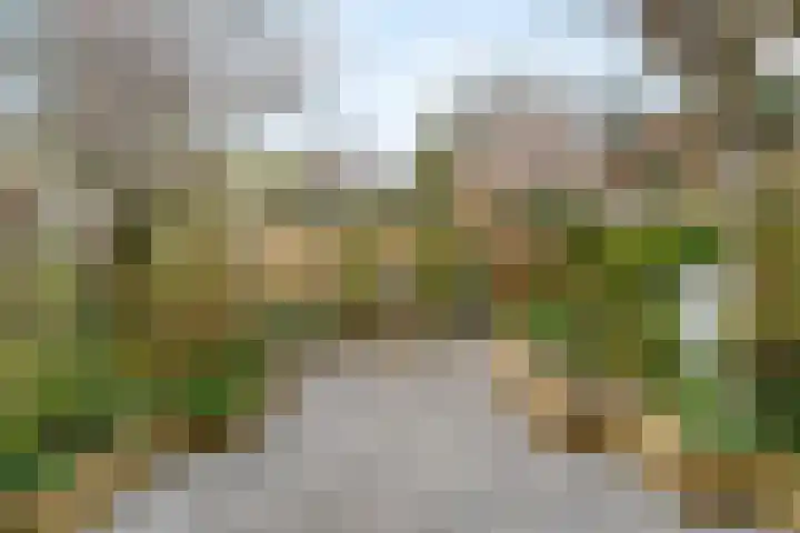 Breeuwer 61 Hoorn thumbnail 25