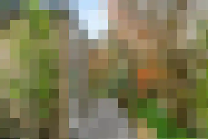 Breeuwer 61 Hoorn thumbnail 27