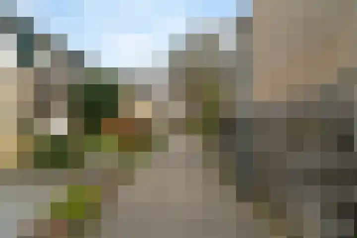 Breeuwer 61 Hoorn thumbnail 30