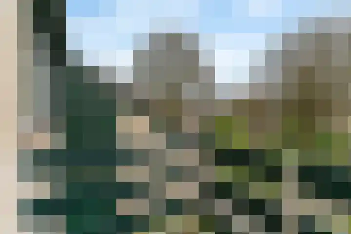 Breeuwer 61 Hoorn thumbnail 31