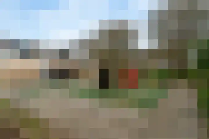 Breeuwer 61 Hoorn thumbnail 33