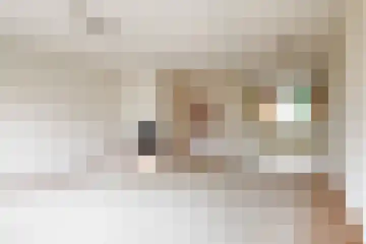 Breeuwer 61 Hoorn thumbnail 4
