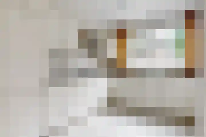 Breeuwer 61 Hoorn thumbnail 5