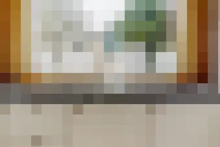 Breeuwer 61 Hoorn thumbnail 6