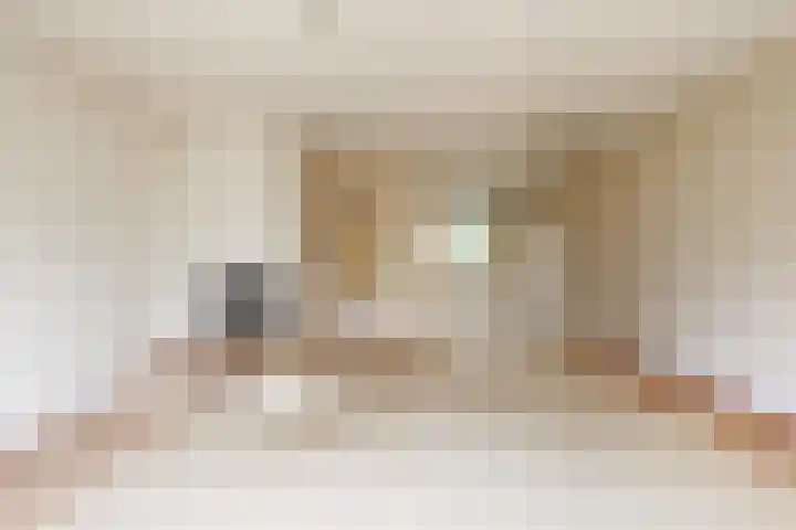 Breeuwer 61 Hoorn thumbnail 8