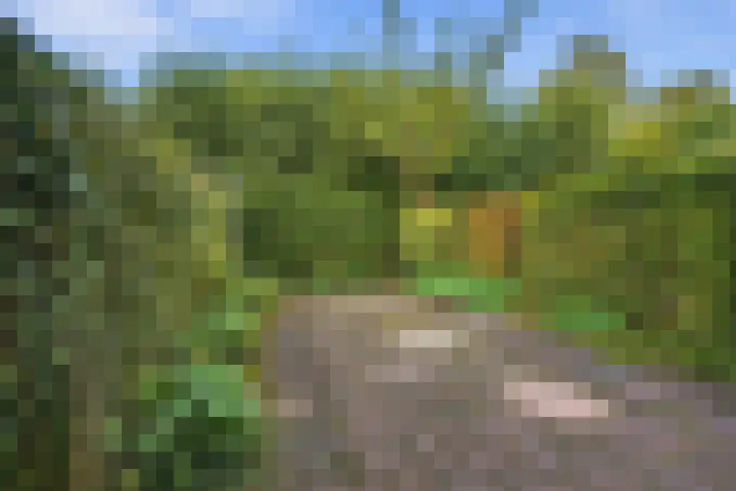 Breeuwer 63 Hoorn thumbnail 31