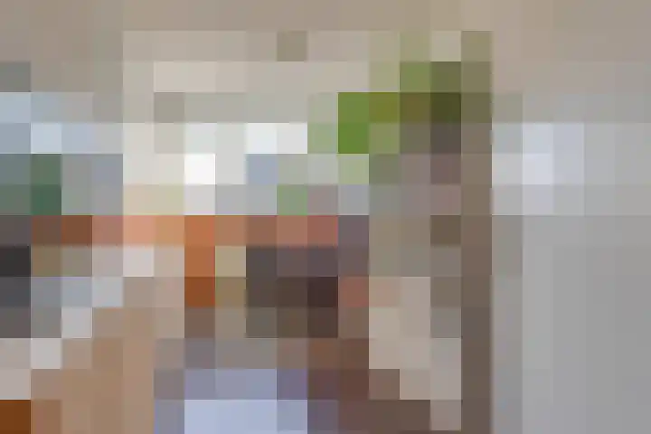 Breeuwer 67 Hoorn thumbnail 22