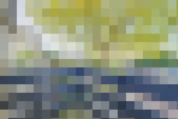 Breeuwer 67 Hoorn thumbnail 27