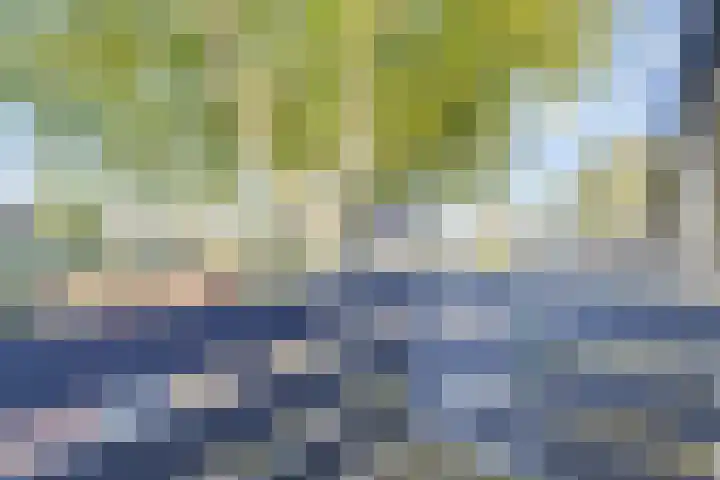 Breeuwer 67 Hoorn thumbnail 28