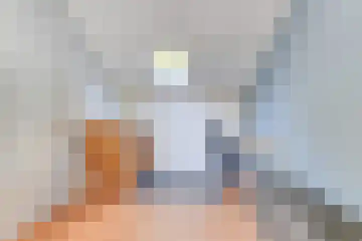 Breeuwer 67 Hoorn thumbnail 33
