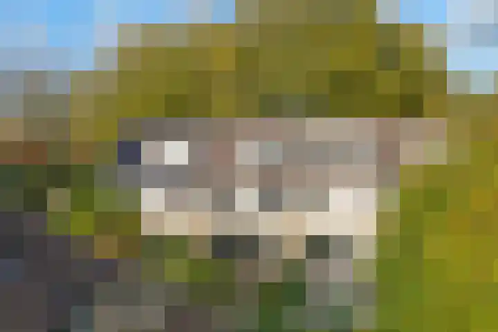 Breeuwer 67 Hoorn thumbnail 37