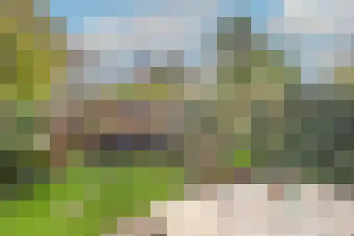 Breeuwer 67 Hoorn thumbnail 38