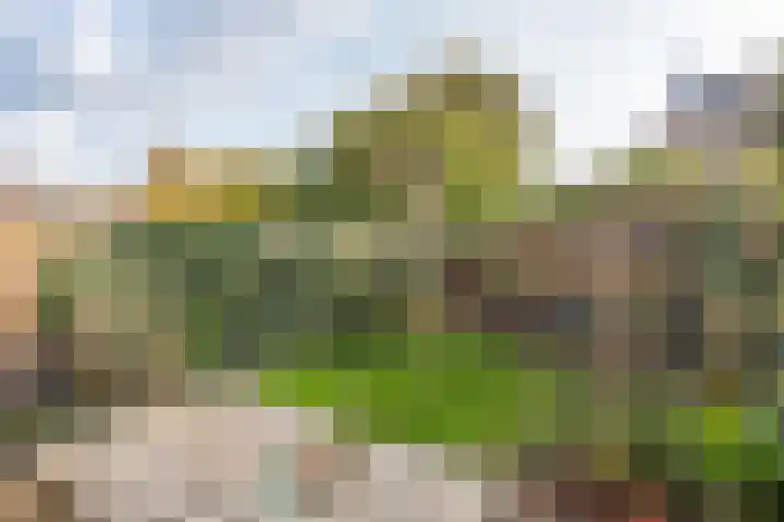 Breeuwer 67 Hoorn thumbnail 39