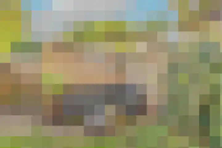 Breeuwer 67 Hoorn thumbnail 40