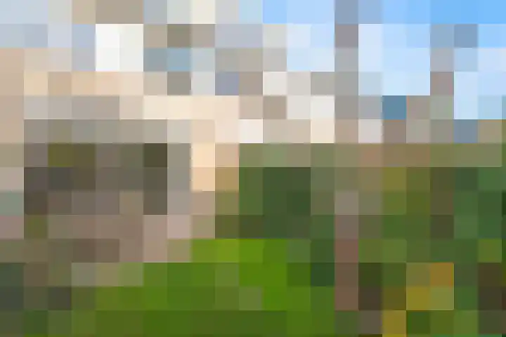 Breeuwer 67 Hoorn thumbnail 42