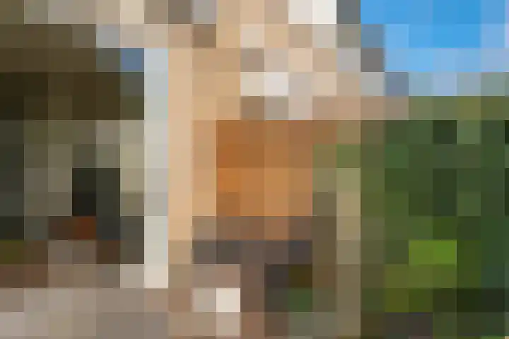 Breeuwer 67 Hoorn thumbnail 43