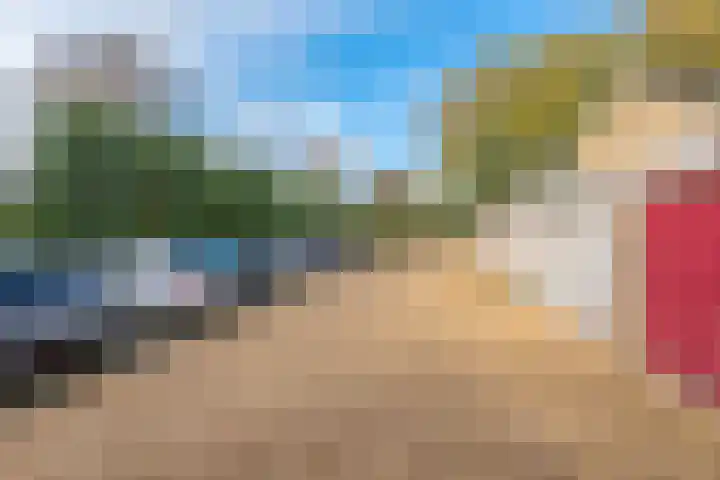 Breeuwer 67 Hoorn thumbnail 44