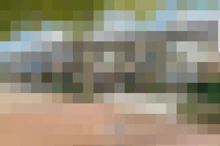 Breeuwer 67 Hoorn thumbnail 46