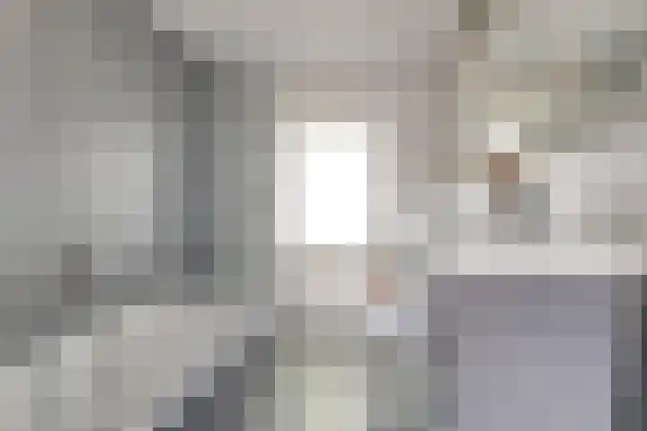Breeuwer 67 Hoorn thumbnail 5
